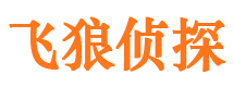 峡江飞狼私家侦探公司